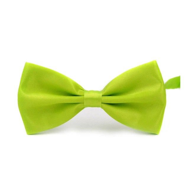 2H Color Bow Ties