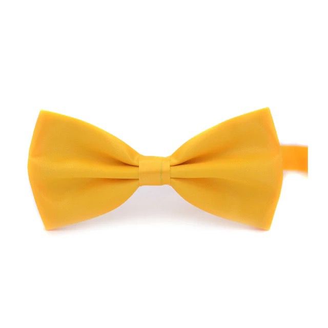 2H Color Bow Ties
