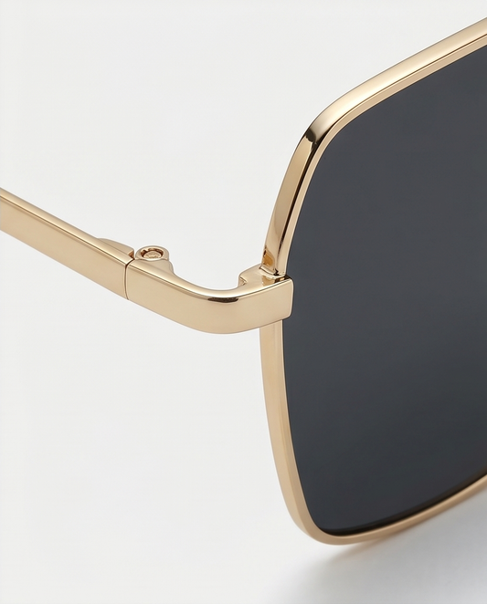 2H #05 Brown Sunglasses